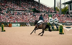 马术音乐控：这画面配上这神曲，太治愈了… See You Again -- Equestrian Music Video