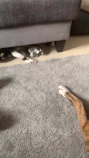 Rose Modrock on Reels | Facebook