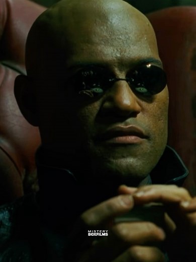 Your Entire Life Is a LIE 💊