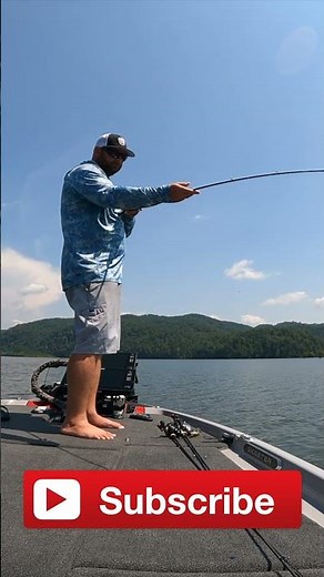 This Simple Rig Catches A Ton Of Fish! 🎣 #shorts