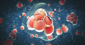 Zellteilung, Zygote, Protoplasma im Mikroskop, medizinischer Hintergrund 3D-Animation