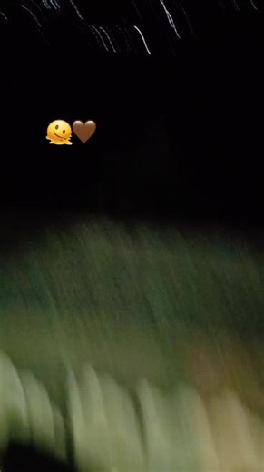 Vidéos de ❤️لفعة🐍🐍 (@fififo73) avec الصوت الأصلي - laji29