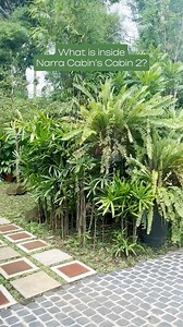 Unveiling the wonders of Narra Cabin's Cabin 2—what captures your heart the most? 💖 Share your favorite features! | Narra Cabins