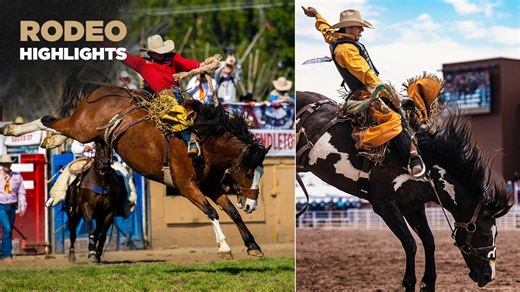 That horse was big, strong - and he matched it