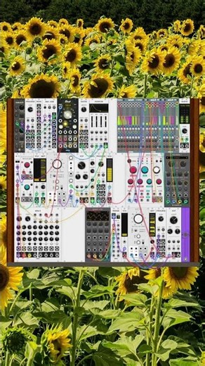 Studying rubato and clock modulation in VCV Rack 2 #vcvrack