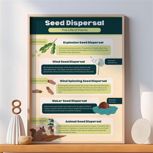 Seed Dispersal Methods Poster – Wind, Water, Animals, and Explosion | Science Classroom Print - Etsy