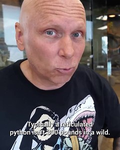 Anaconda vs Giant Python! Who Would Be The Champion? | Brian Barczyk