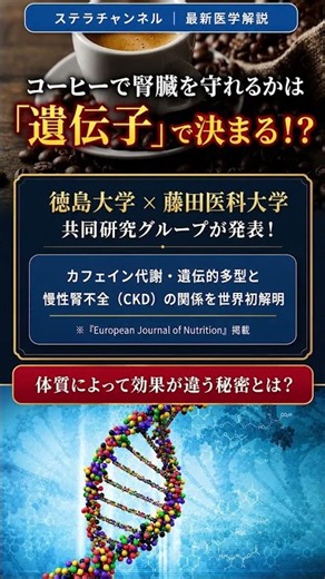 コーヒーで腎臓を守れるかは遺伝子で変わる？藤田医科大学×徳島大学の最新研究を解説。https://jpnmedical.com/research/550/