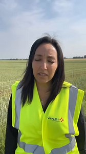 🐹 À Geispolsheim, en Alsace, à proximité de l’autoroute A355, les équipes VINCI Autoroutes ont organisé une de réintroduction de plus de 130 grands hamsters d’Alsace. | VINCI Autoroutes