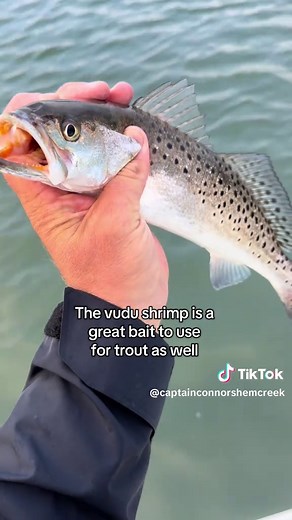 How to Fish with a Vudu Shrimp in Charleston SC