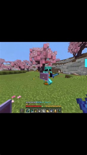 Improving Skills in Diamond SMP Minecraft