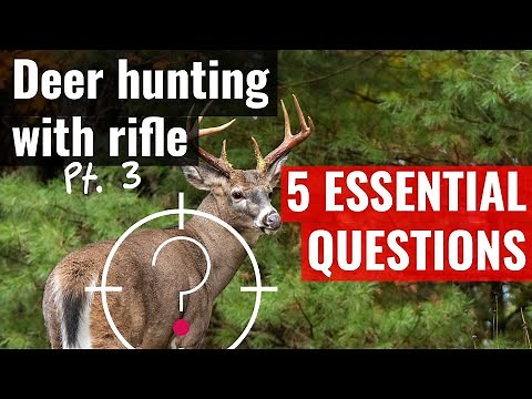 5 essential deer hunting questions (deer hunting with rifle pt. 3)