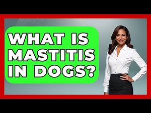 What Is Mastitis In Dogs? - The Wild Life Explorer