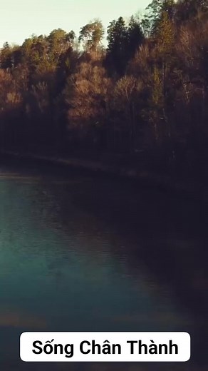 22K reactions · 4.3K shares | Sự trừng phạt lớn nhất là im lặng 殺 | Sống Chân Thành | Facebook