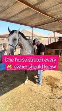 One Horse Stretch Every Owner Should Know | Shoulder Extension Stretch Tutorial
