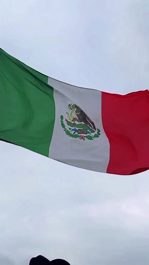 feliz cinco de mayo !! 🐴🇲🇽 #angelinavictoria #cincodemayo #caballosbailadores #caballos #vaquera #mchorse #banderamexicana | Angelina Victoria