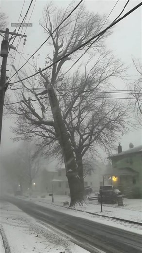 The video opens in the middle of a heavy snowstorm, where thick flakes fall rapidly and wind pushes through a quiet neighborhood. Power lines sag slightly under the weight of ice as trees bend and sway, their branches coated in snow. The scene feels tense, as if something is about to give. Without warning, a large tree snaps and collapses, crashing directly onto the power lines below. The impact triggers a violent burst of bright sparks that flare against the dark, snowy backdrop. Electricity cr