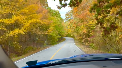 🍁 A Big Thank You From Pesty Phil’s Pest Control! 🍁 As the fall colors sweep across Hot Springs Village, Hot Springs, and the surrounding areas, I just want to say a heartfelt thank you to all my amazing customers. I’m truly grateful for every call, every visit, and every home you’ve trusted me to protect. Take a moment to enjoy the beautiful reds, golds, and oranges all around us — fall doesn’t last long, but it sure knows how to put on a show! And if any unwanted pests try sneaking inside as