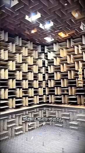 The Most Silent Room on Earth! 🤯