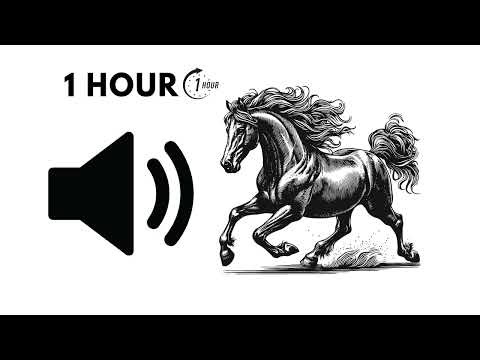 Horse Hoof Running Sounds for 1 Hour — Real Gallop ASMR