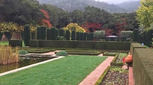 Visit Filoli and get a rare glimpse of the Garden as the trees take over the multi-color display, showing off the contrast between deep green, bright green, reds, and yellows. Admission is $5 beginning Monday at 1pm. http://www.filoli.org/plan-your-visit/ | Filoli