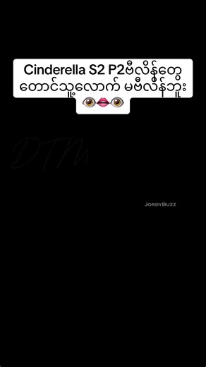 Princess Cinderella Transformation and Rebellion