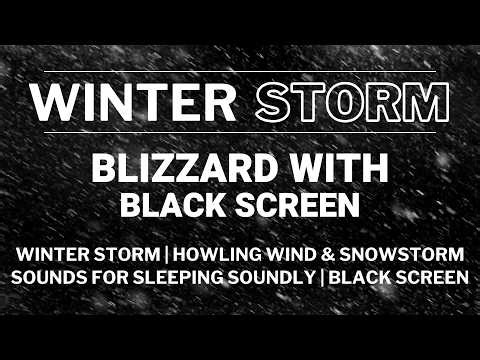 Winter Storm | Howling Wind & Snowstorm Sounds for Sleeping Soundly | Black Screen