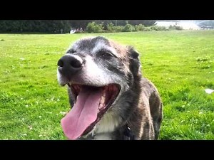 121 seconds of panting