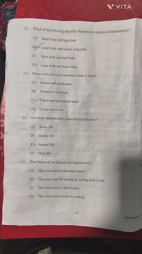 Common annual examination solved paper --English 8th class