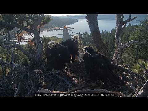 6-1-2026 Watching Them Grow