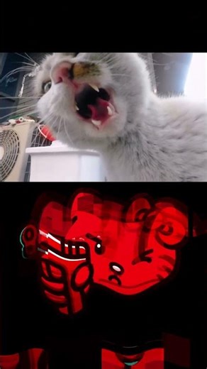 SPICY KITTENS 🌶️ (૭ ｡•̀ ᵕ •́｡ )૭ 🔥 (FULL VIDEO OUT NOW⬆️)