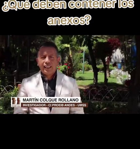 ¿Qué deben contener los anexos de investigación?
