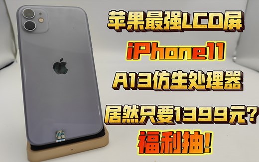 千元价位最香苹果旗舰！吊打同价位安卓旗舰！A13仿生 LCD护眼屏性价比超高！iPhone11评测体验！