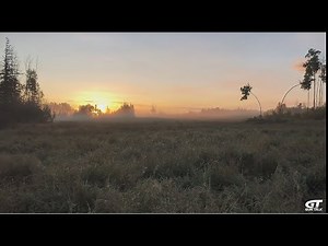 The One Perfect Round for North American Big Game Hunting | Gun Talk