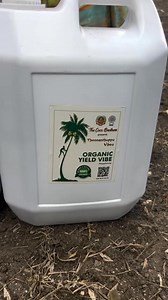 16K views · 141 reactions | தினமும் தேங்காய் எண்ணிக்கை குறையுதா?...