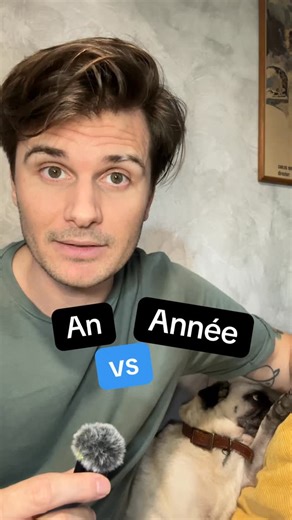 Learn French with Timo on Instagram: "AN or ANNÉE? Almost every French student struggles with this. Not because it’s difficult — but because it’s badly explained. 👉 The rule is very simple: 🔢 With a number → AN / ANS ❌🔢 Without a number → ANNÉE That’s it. No stress. If you’re serious about French, you’ll like my blog 👉 www.learnfrenchwithtimo.com ⸻ #learnfrench #frenchgrammar #frenchmadeeasy #frenchtips"