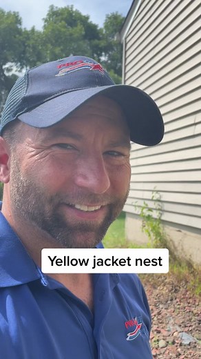 Yellow Jacket Nest: Pest Inspection and Control