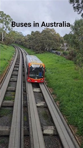 Australian Bus are like Railways