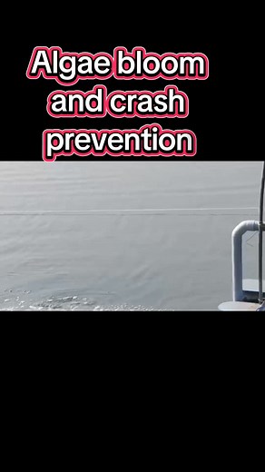 Chatgpt : Fine bubble application to soil pond of shrimps #vannamei #nuoitom #nanobubble #udang #camarones | ファインバブル 日本