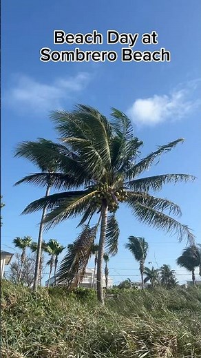 Sombrero Beach the BEST beach in Marathon, Florida #floridakeys #beachlife