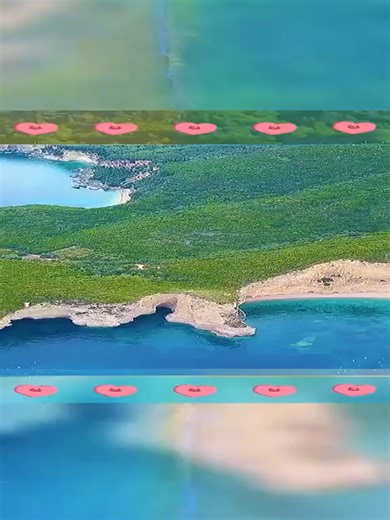 Lavender Grayce farms on TikTok