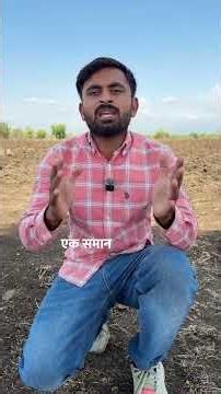 🌽मक्का की बेस्ट वैरायटी💯| makka ki best variety | Farming तकनीक | #shriram | #9701maize | #shorts