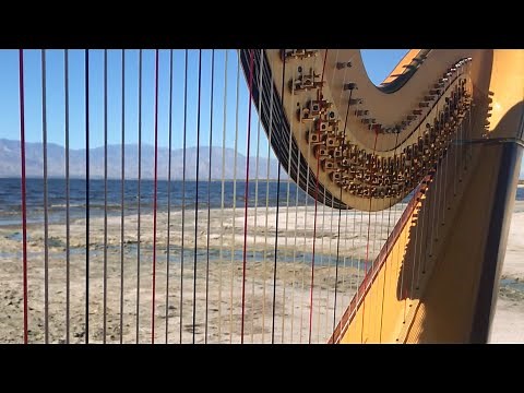 Wind plays two harps! 1 hour of magical harp and nature sounds
