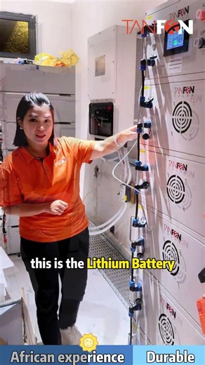 100kW Hybrid Solar Power System 215kWh Total Capacity (LiFePO4 Lithium Battery)