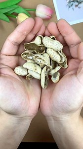 905K views · 17K reactions | Don't throw away the peanut shells after eating, let's make a deer decoration painting together #papercraft #handmade #paperart #cardmaking #papercrafting #paper #craft #art #papercrafts #diy #scrapbooking #handmadecards #crafting #paperlove #origami #scrapbook #papercut #paperartist #crafts #cardmaker #creative #cards #cardmakersofinstagram #paperflowers #stamping #card #handcrafted #design #papercutting #love | paper craft | Facebook