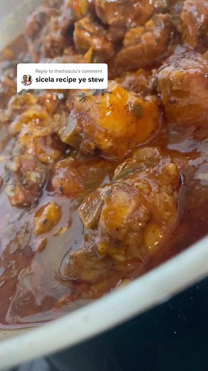 Cooking Beef Stew with Fikz: South African Recipes