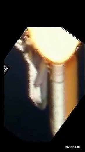 Space Shuttle Columbia STS-107 Foam/Debris Strike