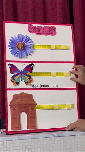 Symmetry Working Model 🔥 Maths Project Idea
