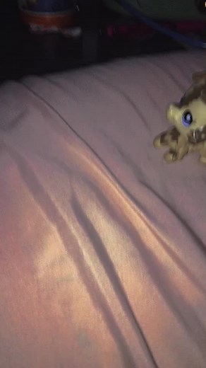 Cookie 🍪 (@cooki_lps46)’s videos with original sound - sped up audios🪐