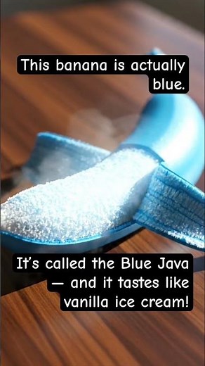 The Banana That Tastes Like Ice Cream 🍌💙”#banana #ice#java cream